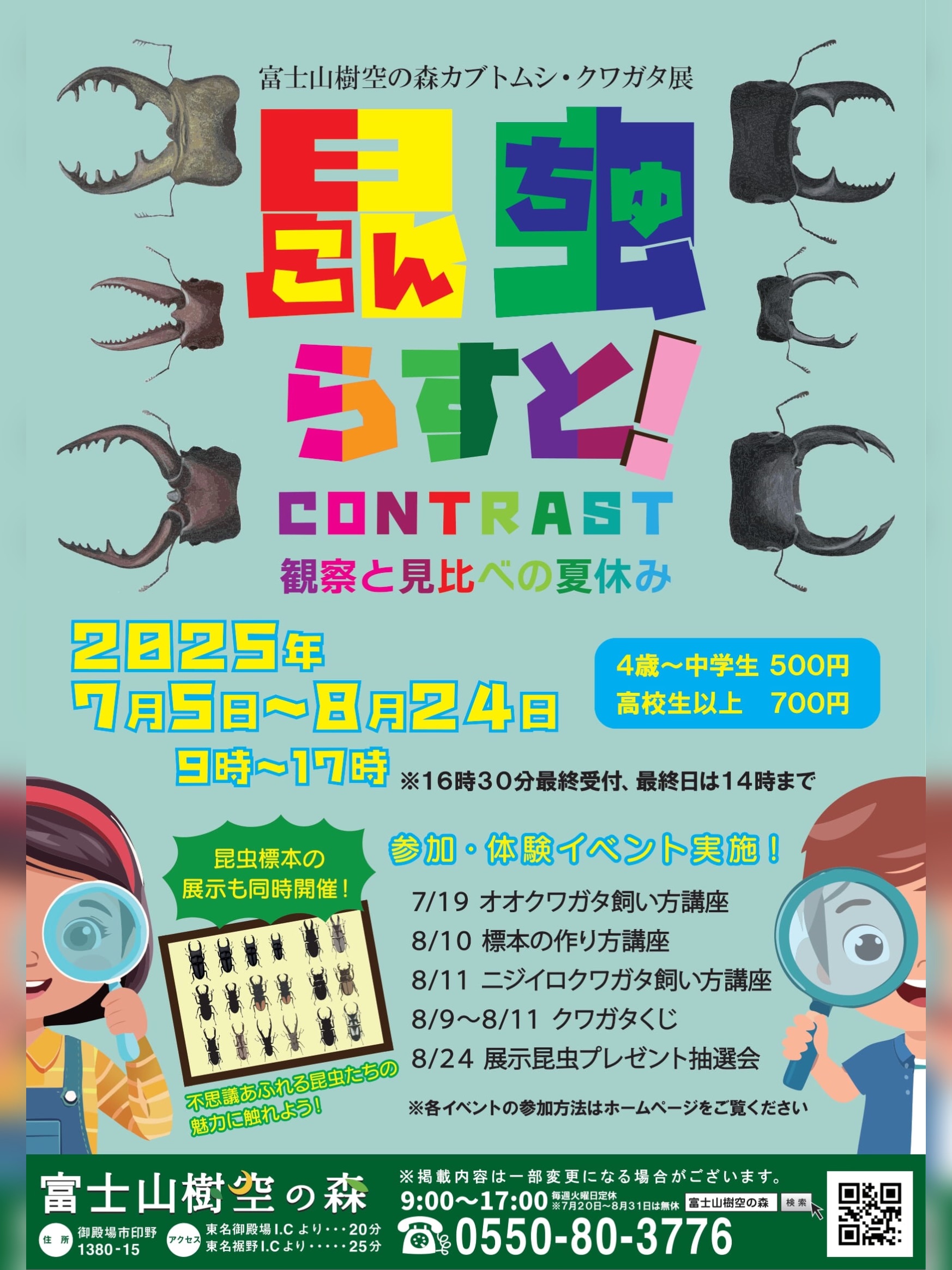【2025年08月24日（日）まで】『カブトムシ・クワガタ展「こんちゅらすと！」-観察と見比べの夏休み-』