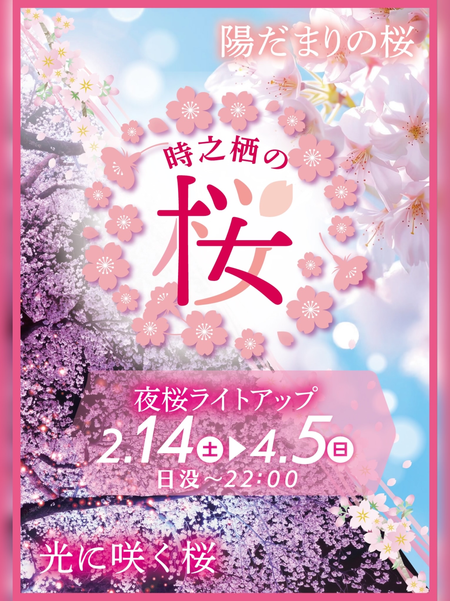 【2026年04月05日（日）まで】『時之栖の桜 夜桜ライトアップ』